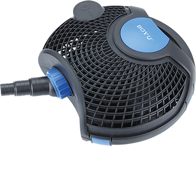 Boyu Pumps